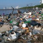 Comissão do meio ambiente da Câmara aprovou projeto que substituí plasticos por materiais biodegradáveis