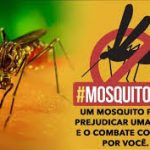 Mosquito da Dengue agora tem solução UNB mostra como reduzir em 80% !