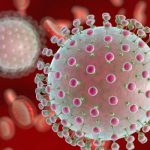 Câncer de próstata é inibido com células do zika vírus