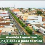 Prefeitura de Catalão realiza poda técnica em arvores da avenida Lamartine