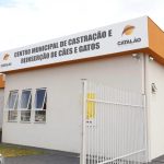 Centro de Castração e Reinserção de Cães e Gatos de Catalão vira referência para municípios do Estado