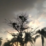 Goiás tem alerta de tempestades e chegada de frente fria para esta semana; veja a previsão do tempo