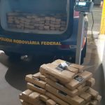 PRF em Catalão apreende quase 200kg de maconha e recupera carro roubado
